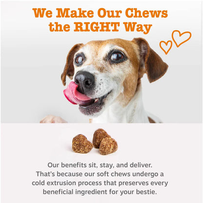 Senior Advanced Allergy & Immune Bites for Senior Dogs