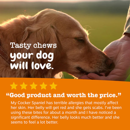 Senior Advanced Allergy & Immune Bites for Senior Dogs