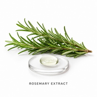 Rosemary Extract